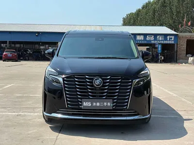 2023 Buick GL8 ES Landmaster Exclusive, фото 2, лот 11183225