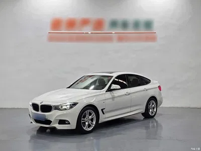 2018 BMW 3 Series GT 320i M Sport, фото 1, лот 11583441