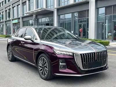 2023 Hongqi H5 2.0T Auto Smart Connect Flag Comfort, фото 3, лот 10288737