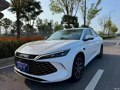 2025 BYD Qin L DM-i Smart Drive Edition 120KM Surpassing, фото 1, лот 10766373