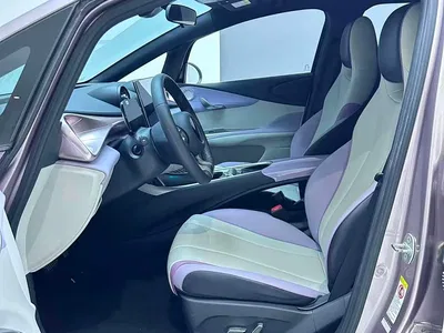 2021 BYD Dolphin Model 405km Fashion Edition, фото 4, лот 10258263