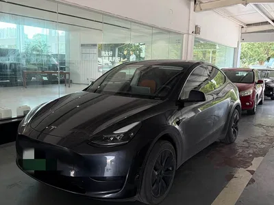 2023 Tesla Model Y Rear-Wheel Drive Edition, фото 1, лот 11007860