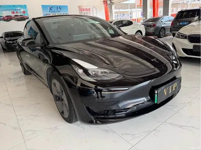 2022 Tesla Model 3 Model Rear-Wheel Drive Version, фото 3, лот 11087188