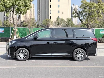 2021 GAC Trumpchi Trumpchi M8 Leading Show Series 390T Ultimate Edition, фото 4, лот 10418404