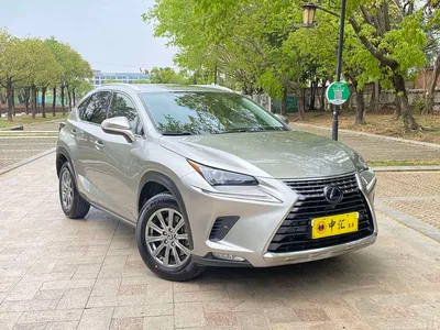 2020 Lexus NX 300h FWD F Sport China VI, фото 3, лот 10315033