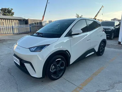 2023 BYD Seagull Freedom Edition, фото 1, лот 10406340