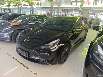 2022 Tesla Model 3 Model Rear-Wheel Drive Version, фото 1, лот 10382243
