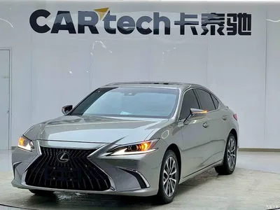 2022 Lexus ES 300h Excellence Edition, фото 1, лот 10307012