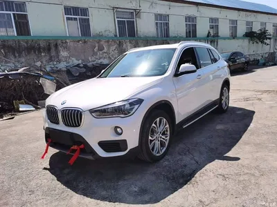2019 BMW X1 sDrive20Li Leading Model, фото 2, лот 10481250