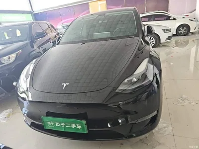 2021 Tesla Model Y Standard Range Rear-Wheel Drive, фото 2, лот 10808058