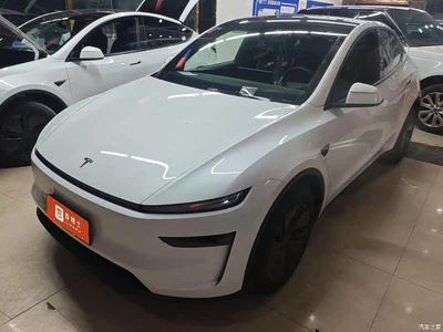 2026 Tesla Model Y Facelift Long Range Rear-Wheel Drive, фото 1, лот 10450110