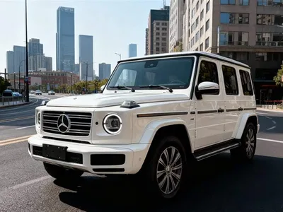 2023 Mercedes-Benz G-Class, фото 1, лот 10257704