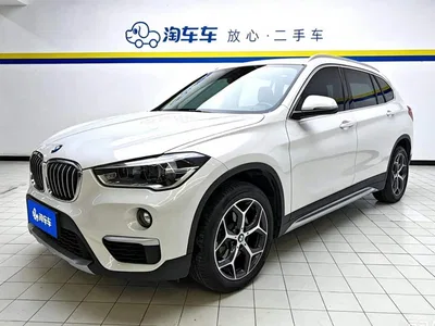 2019 BMW X1 sDrive18Li Premium Model, фото 1, лот 11104232