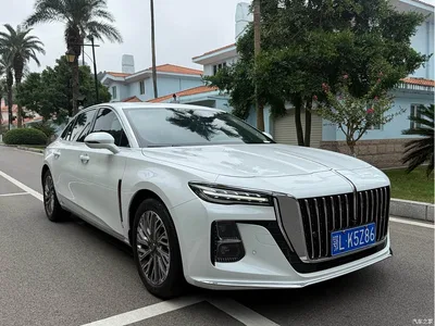 2023 Hongqi H5 2.0T Auto Smart Connect Flag Comfort, фото 3, лот 11218599