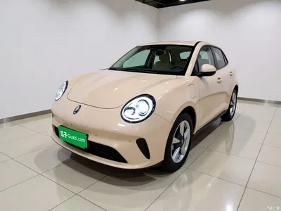 2025 Ora Good Cat 430km Honor Edition, фото 1, лот 10895519