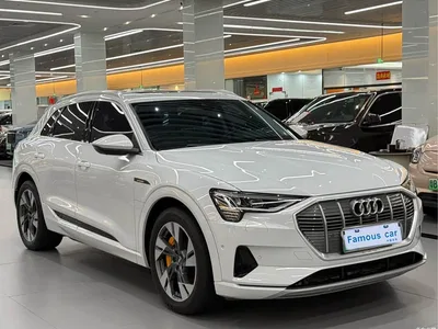 2019 Audi e-tron (Import) 55 quattro Technology, фото 3, лот 10482497