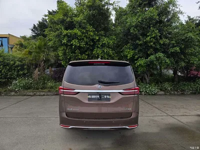 2021 Buick GL8 Land Business Class 652T Luxury, фото 3, лот 10250739