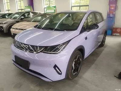 2025 BYD Dolphin Smart Drive Edition 420km Freedom Version, фото 2, лот 10387664