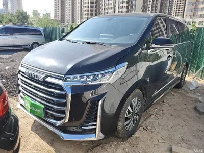 2021 SAIC Maxus Maxus G20 Facelift PLUS 2.0T Gasoline Automatic Luxury, фото 1, лот 11159061
