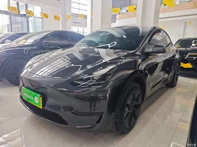 2024 Tesla Model Y Rear-Wheel Drive Version, фото 1, лот 11182340