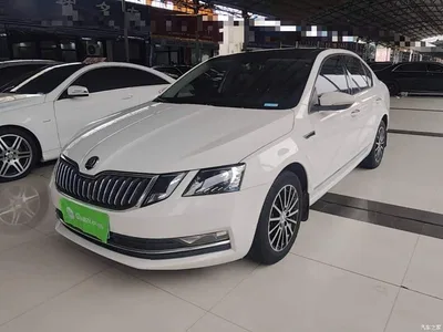 2019 Škoda Octavia 1.5L Automatic Smart Luxury China VI, фото 1, лот 10348271