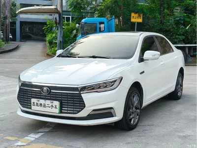 2019 BYD Qin Pro New Energy EV Super Edition High Power Long Range Smart Connected Leader Type, фото 1, лот 11095913