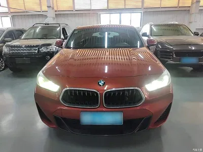 2020 BMW X2 xDrive25i M Sport Package, фото 3, лот 11549876