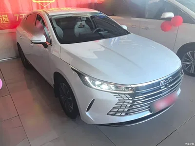 2024 BYD Destroyer 05 Glory Edition DM-i 55KM Luxury, фото 4, лот 10259954