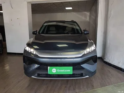 2025 BYD Song Pro New Energy 2nd Generation Smart Drive Edition DM-i 75KM Leading Type, фото 3, лот 10441010