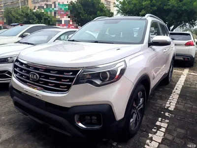 2018 Kia Sportage 2.0L Automatic Smart Luxury (China V), фото 1, лот 11385715