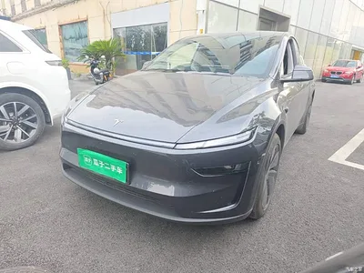 2025 Tesla Model Y Model Long Range All-Wheel Drive Launch Edition, фото 2, лот 10694067