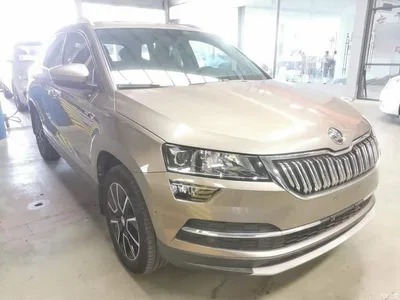 2019 Škoda Karoq TSI280 Smart Drive Premium Edition China V, фото 4, лот 11408014