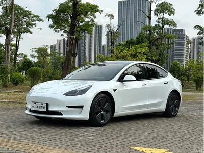 2021 Tesla Model 3 Standard Range Rear-Wheel Drive Upgrade, фото 1, лот 10354061