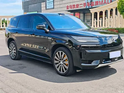 2025 Denza N9 Model Prestige Edition, фото 3, лот 10346493