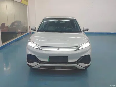 2023 BYD Yuan PLUS Champion Edition 510KM Leading Type, фото 3, лот 11230775