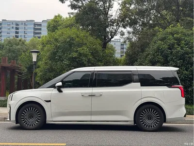 2024 ZEEKR 009 6-Seat Executive AWD Version 140kWh, фото 4, лот 11106735