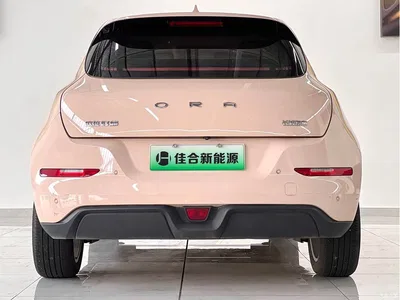 2022 Ora Good Cat 400km Standard Range Luxury LFP, фото 4, лот 11012212