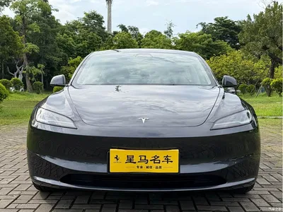 2025 Tesla Model 3 Model Rear-Wheel Drive Edition, фото 2, лот 10346143