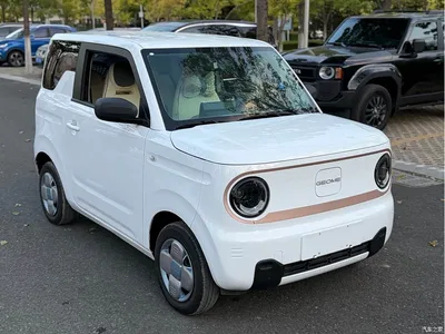 2024 Geely Galaxy Panda 200km Panda Knight, фото 3, лот 11191084