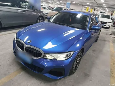 2020 BMW 3 Series 325Li M Sport Package, фото 1, лот 11073877