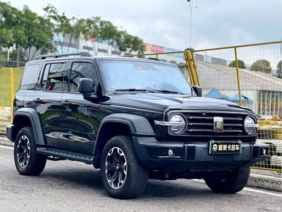 2025 Tank 300 New Energy Hi4-T 36.7kWh Edition, фото 3, лот 10816405