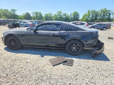 2014 FORD MUSTANG, фото 2, лот 10556027