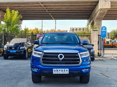 2019 Great Wall Pao 2.0T Automatic Gasoline 2WD Comfort GW4C20B, фото 2, лот 10364256