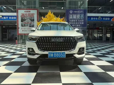 2023 Haval H6 National Trend Edition 1.5T Automatic Champion, фото 2, лот 10283149