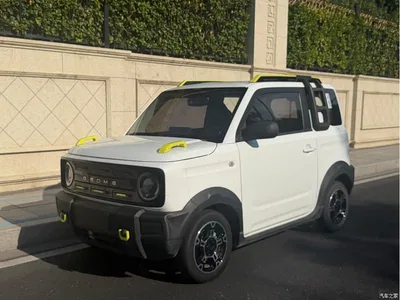 2024 Geely Galaxy Panda 200km Panda Knight, фото 1, лот 10429631