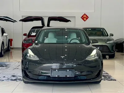 2022 Tesla Model 3 Model Rear-Wheel Drive Version, фото 2, лот 10346078