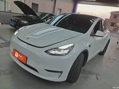 2024 Tesla Model Y Long Range AWD, фото 1, лот 10506878
