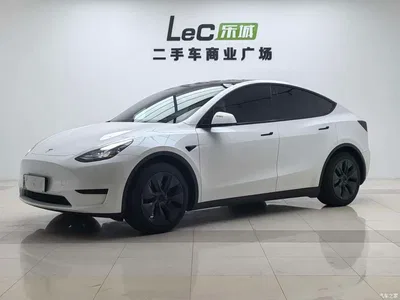 2024 Tesla Model Y Rear-Wheel Drive Version, фото 1, лот 10374523