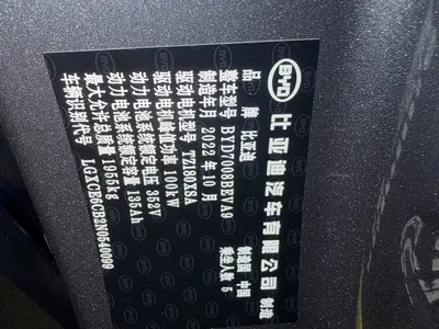 2021 BYD Qin PLUS EV 400KM Luxury Model, фото 4, лот 10362977