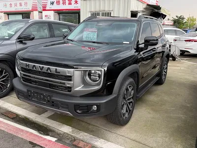 2024 Haval Big Dog 1.5T DCT Border Collie Edition, фото 1, лот 11096331